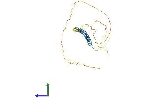 Protein Structure (PS) image for Transcription Elongation Factor A (SII)-Like 4 (TCEAL4) (AA 1-215) protein (His tag) (ABIN7544173)