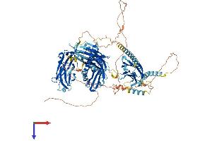 FAM62B Protein (AA 1-921) (His tag)