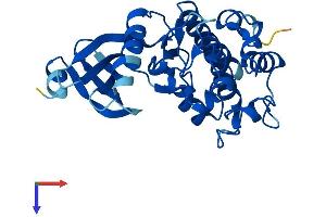 TSSK6 Protein (AA 1-273) (His tag)