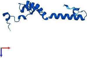 NDUFS5 Protein (AA 1-106) (His tag)