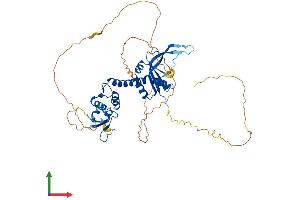 AlphaFold protein structure predicition of Mouse Recombinant Btbd10 Protein, UniprotID Q80X66 (BTBD10 Protein (AA 1-475) (His tag))