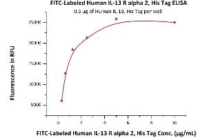 ELISA image for Interleukin 13 Receptor, alpha 2 (IL13RA2) (AA 27-343) (Active) protein (FITC,His tag) (ABIN6950960)