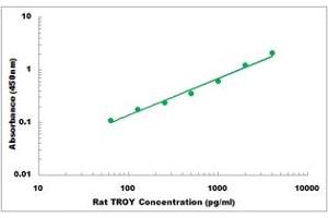 TNFRSF19 ELISA Kit