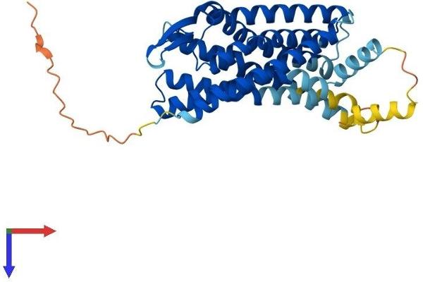 BDKRB1 Protein (AA 1-353) (His tag)