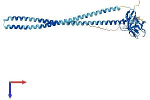 OLR1 Protein (AA 1-363) (His tag)