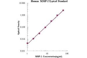 ELISA image for Matrix Metalloproteinase 2 (MMP2) ELISA Kit (ABIN2681242)