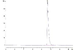 The purity of Mouse IGFBP2 is greater than 95 % as determined by SEC-HPLC. (IGFBP2 Protein (AA 35-305) (His tag))