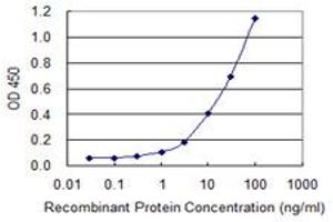 ELISA image for anti-serpin Peptidase Inhibitor, Clade B (Ovalbumin), Member 1 (SERPINB1) (AA 201-300) antibody (ABIN515235)