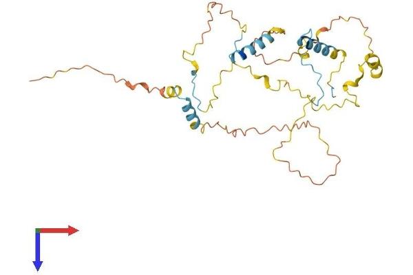 FYTTD1 Protein (AA 1-318) (His tag)