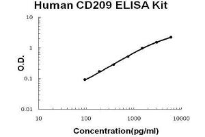 Human  CD209 PicoKine ELISA Kit standard curve (DC-SIGN/CD209 ELISA Kit)