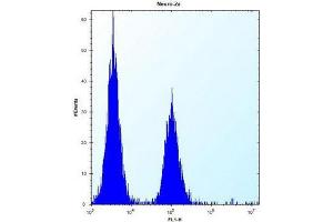 Flow cytometric analysis of Neuro-2a cells using KAT2A / GCN5L2 Antibody (C-term) Cat. (KAT2A Antikörper  (C-Term))