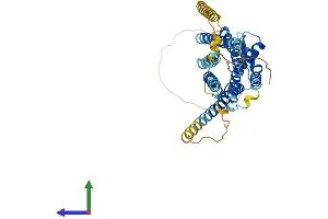 Protein Structure (PS) image for Arginine Vasopressin Receptor 1A (AVPR1A) (AA 1-418) protein (His tag) (ABIN7545011)