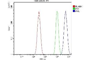 Flow Cytometry analysis of HEPA1-6 cells using anti-PML Protein/Pml antibody (ABIN7599678). (PML Antikörper  (AA 107-857))