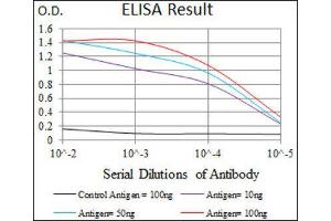 ELISA image for anti-phosphodiesterase 1B, Calmodulin-Dependent (PDE1B) (AA 370-536) antibody (ABIN1845413)