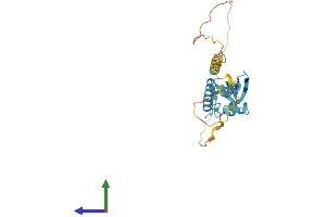 Protein Structure (PS) image for Transmembrane and Ubiquitin-Like Domain Containing 1 (TMUB1) (AA 1-246) protein (His tag) (ABIN7555776)
