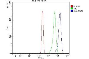 anti-ENTR1 (AA 1-424) antibody