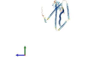 Protein Structure (PS) image for Hook Homolog 2 (HOOK2) (AA 1-716) protein (His tag) (ABIN7564190)