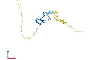 Protein Structure (PS) image for LIM Domain Containing 2 (LIMD2) (AA 1-127) protein (His tag) (ABIN7549027)