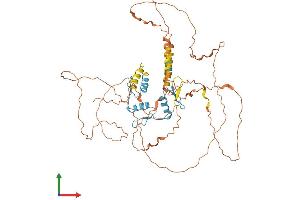 Protein Structure (PS) image for Kruppel-Like Factor 11 (KLF11) (AA 1-502) protein (His tag) (ABIN7559482)