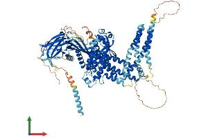 Protein Structure (PS) image for Inositol Polyphosphate-4-Phosphatase, Type II, 105kDa (INPP4B) (AA 1-924) protein (His tag) (ABIN7564080)