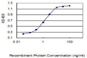 Detection limit for recombinant GST tagged TMEM176A is 0. (TMEM176A Antikörper  (AA 1-235))
