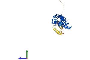 Protein Structure (PS) image for Regulator of G-Protein Signalling 19 (RGS19) (AA 1-217) protein (His tag) (ABIN7551285)