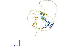 Protein Structure (PS) image for BarH-Like Homeobox 1 (BARHL1) (AA 1-327) protein (His tag) (ABIN7552724)