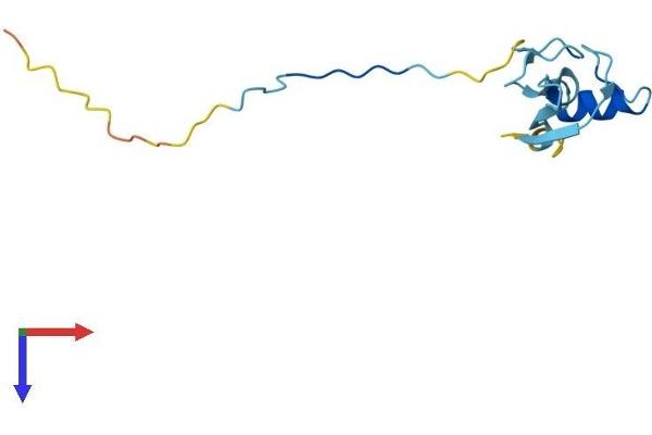 RBX1 Protein (AA 1-108) (His tag)