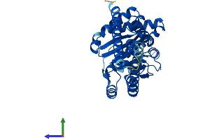 Protein Structure (PS) image for Dehydrodolichyl Diphosphate Synthase (DHDDS) (AA 1-333) protein (His tag) (ABIN7547025)