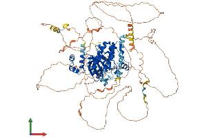 AlphaFold protein structure predicition of Human Recombinant SIK2 Protein, UniprotID Q9H0K1 (SIK2 Protein (AA 1-926) (His tag))