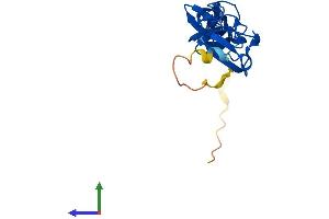 Protein Structure (PS) image for LIM Domain Only 4 (LMO4) (AA 1-165) protein (His tag) (ABIN7556592)