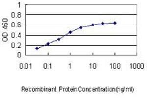 ELISA image for anti-Amyloid beta (A4) Precursor Protein-Binding, Family B, Member 2 (APBB2) (AA 1-100) antibody (ABIN559886)