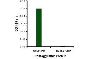 ELISA image for anti-Hemagglutinin antibody (Influenza A Virus H5N1) (Center) (ABIN2457870) (Hemagglutinin Antikörper  (Center))