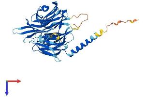 KPTN Protein (AA 1-430) (His tag)