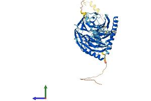 Protein Structure (PS) image for PRP4 Pre-mRNA Processing Factor 4 Homolog (PRPF4) (AA 1-521) protein (His tag) (ABIN7561245)