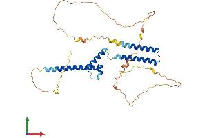 Protein Structure (PS) image for Hairy/enhancer-of-Split Related with YRPW Motif 2 (HEY2) (AA 1-337) protein (His tag) (ABIN7548296)