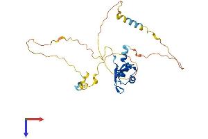 PABPN1L Protein (AA 1-278) (His tag)