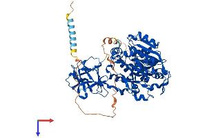 GALNT7 Protein (AA 1-657) (His tag)