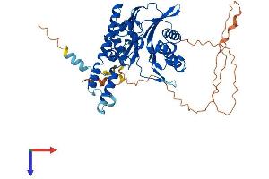 TAB1 Protein (AA 1-502) (His tag)