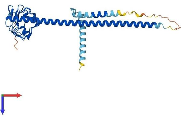 LRRC59 Protein (AA 1-307) (His tag)