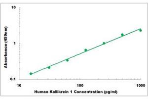 Representative Standard Curve (Kallikrein 1 ELISA Kit)