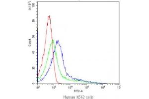 Flow cytometry testing of human K562 cells with CYP1A1 antibody at 1ug/10^6 cells (blocked with goat sera) (CYP1A1 Antikörper  (AA 183-320))