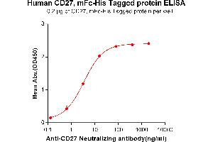 ELISA image for CD27 Molecule (CD27) (AA 20-191) protein (mFc-His Tag) (ABIN6961086)