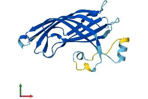 Protein Structure (PS) image for B9 Protein Domain 2 (B9D2) (AA 1-175) protein (His tag) (ABIN7557214)