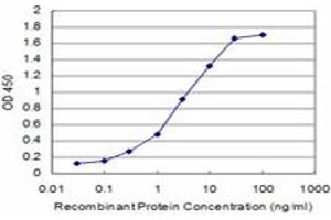 Detection limit for recombinant GST tagged CITED1 is approximately 0. (CITED1 Antikörper  (AA 94-193))