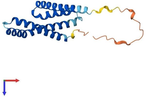 TIMM17B Protein (AA 1-172) (His tag)