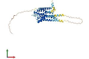 Serotonin Receptor 5A Protein (HTR5A) (AA 1-357) (His tag)