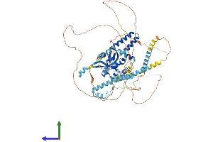 Protein Structure (PS) image for RNA polymerase-associated protein RTF1 homolog (RTF1) (AA 1-715) protein (His tag) (ABIN7561946)