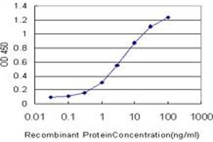 Detection limit for recombinant GST tagged RORB is approximately 0. (RORB Antikörper  (AA 136-224))