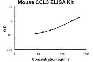 Mouse CCL3/MIP1 alpha Accusignal ELISA Kit Mouse CCL3/MIP1 alpha AccuSignal ELISA Kit standard curve.